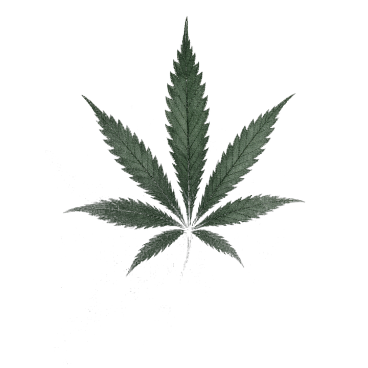 Halcyon Botanicals hemp leaf emblem